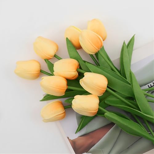Treer Artificial Tulips Flower Bouquet 10 Pcs Gradient Tulip Fake Flowers Real Touch for Mother's Day Wedding Bridal bouquet DIY Floral Arrangements Party Home Decoration (Champagne)