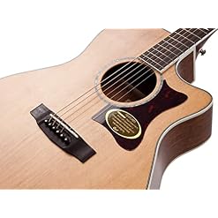 CORT Grand Étagère ga5 F bwns Guitare Folk - Les Beatles, Paul McCartney, John Lennon, RIngo Starr, George Harrison CORT Grand Étagère ga5 F bwns Guitare Folk – Image 2