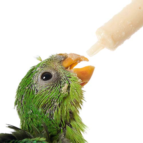 Large Plastic Syringe For Scientific Labs 4 Pack Measuring Syringe Tools Dispensing Multiple Uses (20 Ml) #TOP4