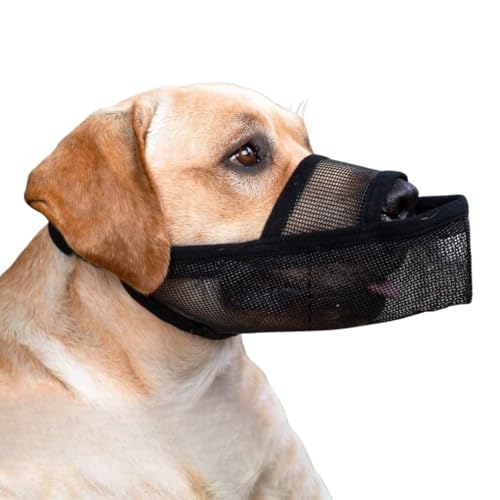 �� ���� �}�Y�� ���^ ���^ ��^ �E���H�� �h�~ ���ݖh�~ (M)