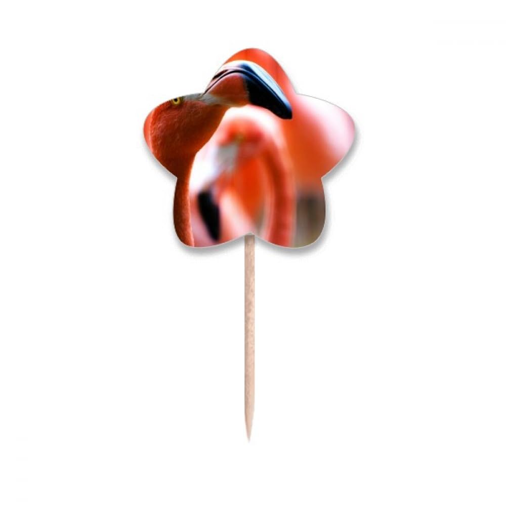 Cure-dents en forme d'animal Flango pour buffet de fête et cupcakes