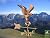 Good Directions 8815PG Eagle Garden Weathervane, Polished Copper with Garden Pole