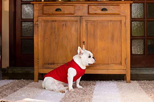 Camiseta Loved - Vermelho - M (Pesc 34 x Peit 44 x Comp 34cm)