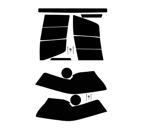 Subject 9 - Fits: Mustang Cobra Pre-Cut Vinyl Overlay Complete Headlight and Taillight Plus Tint (2003 2004) Dark