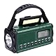 Notfallradio mit LED-Taschenlampe und Leselampe mit Solarladung, per USB oder mit Kurbel, Typ Dynamo, AM/FM-Radio, Powerbank mit 10.000 mAh, zum Aufladen von Handys (grün)