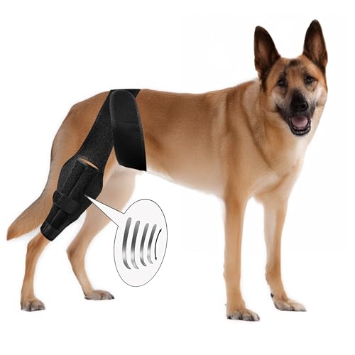 Image of New Dog Knee Brace for Luxating Patella, ACL or Cruciate Ligament Injury Recovery, Osteoarthritis, Hip Dysplasia, or Arthritis Pain Relief, Flexible Spring Support (Medium)