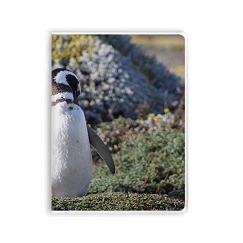 Journal pingouin Spheniscidae couverture souple gomme notebook pour ecriture intime