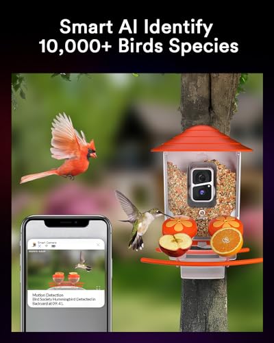 Lumary-Bird-Feeder-with-Camera-DIY-Add-ons-Hummingbird-Feeder-Solar-Powered-Smart-AI-Identify-Auto-Capture-Motion-Detection-Gift-for-Bird-Lover