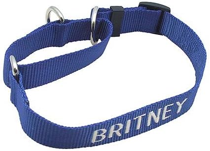 LuckyPet Embroidered Adjustable Martingale Collar - Custom Embroidered Nylon Walking Collar for Greyhounds and Other Breeds.