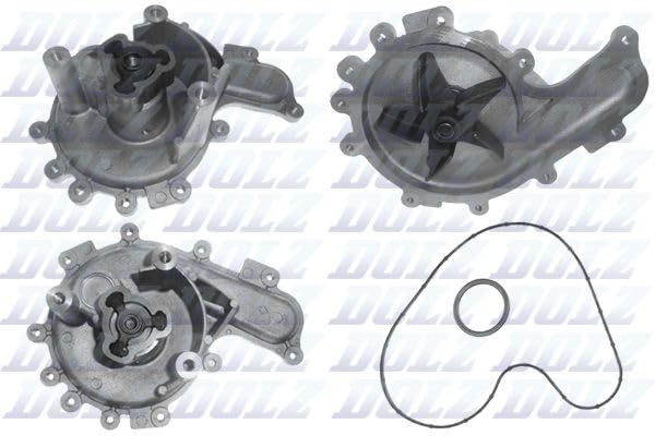 DOLZ Pompe à eau, refroidissement du moteur F214