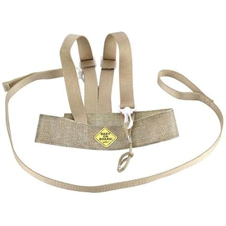 safety 1st harness