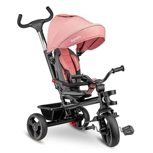 Lionelo Haari 2-i-1 trehjuling med tryckstång från 18 månader till 25 kg framåt och bakåt slanglösa gummidäck frihjul rymlig korg väska dryckeshållare (rosa)