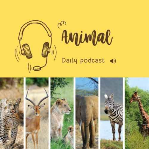 Animal Podcast Por Eduado arte de portada