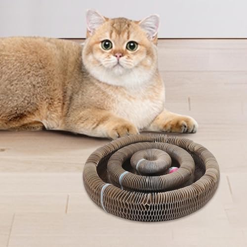 Jouet interactif accordéon chat avec planche à gratter magnétique - 3