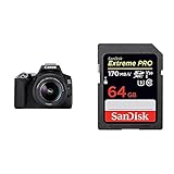 Canon EOS 250D Digitalkamera (24,1 Megapixel, 7,7 cm (3 Zoll) Vari-Angle Display, APS-C-Sensor, 4K, Full-HD, DIGIC 8, WLAN, Bluetooth) & SanDisk Extreme PRO 64GB SDXC Speicherkarte bis zu 170 MB/s