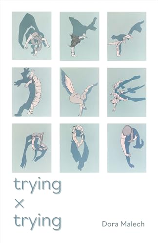 Trying x Trying (Carnegie Mellon University Press Poetry Series)