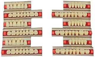مجموعة لعب بنمط علم الحفريات للأطفال من سن 6 سنوات فما فوق، 777-1