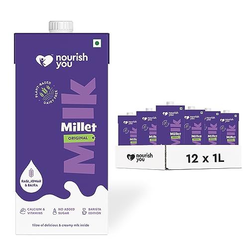 Image of Nourish You Plant Based Millet Mlk with goodness of Ragi, Jowar, Bajra & Oats |Lactose Free | Dairy Free | Preservatives free | Healthy Vegan Creamy Mlk | No-added sugar | 12 L (1L each x 12)