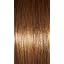 GF8-29SS Hazelnut