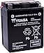 Yuasa YUAM62H4A YTX14AH-BS Battery