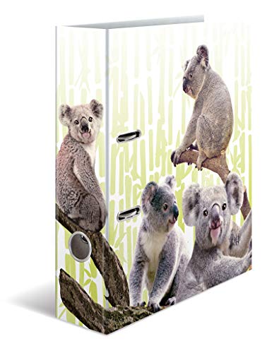 HERMA 19952 Ordner A4 Exotische Tiere Koalafamilie, 7 cm breit, Motiv Aktenordner aus Pappe mit Innendruck für Schule & Büro, stabiler Kinder Ringordner aus Karton für Jungen & Mädchen