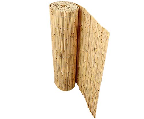 Bambus-Discount Niedrige Schilfrohrmatte Beach 80 x 600cm als Balkon Sichtschutz - Schilfmatte Premium 0,8 x 6m Made in EU