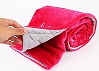 Algopix Similar Product 13 - Personalized Dog Blanket with Name