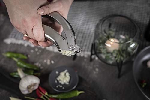 Kuhn Rikon Epicurean Garlic Press, Stainless Steel, 6.5 X 1 X 1.5 Inches, Silver #TOP5