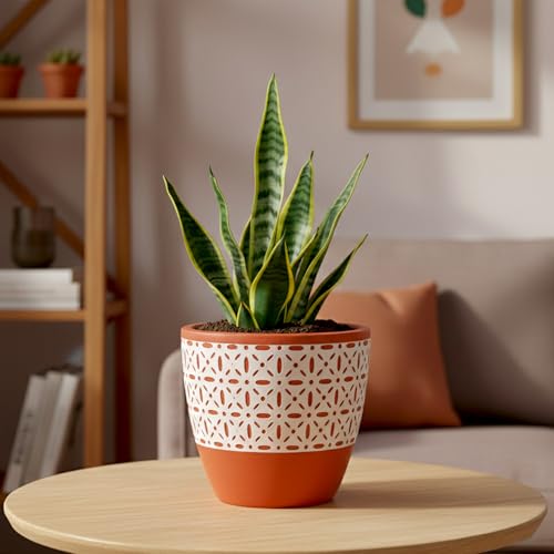 Image of Urban Plant Heritage Clay Canvas Terracotta Pot with Drainage Hole (5 Inch) | Handcrafted Decorative Indoor Planter | Breathable Clay Pot for Healthy Plant Growth