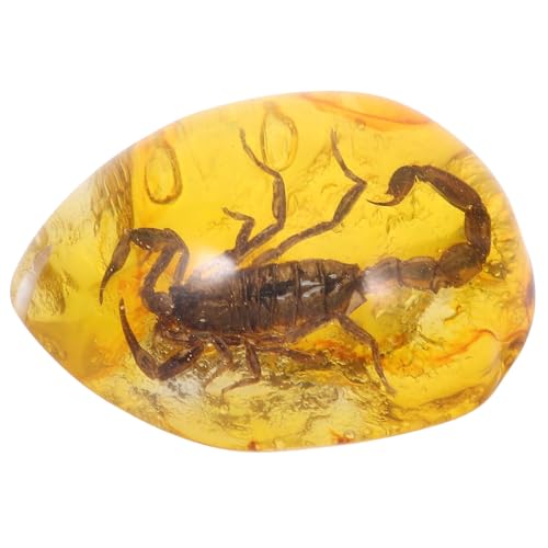 LIGHTAOTAO Dije colgante de ámbar con escorpión, accesorio en forma de gota fácil de llevar para coleccionistas y de la naturaleza Color Aleatorio