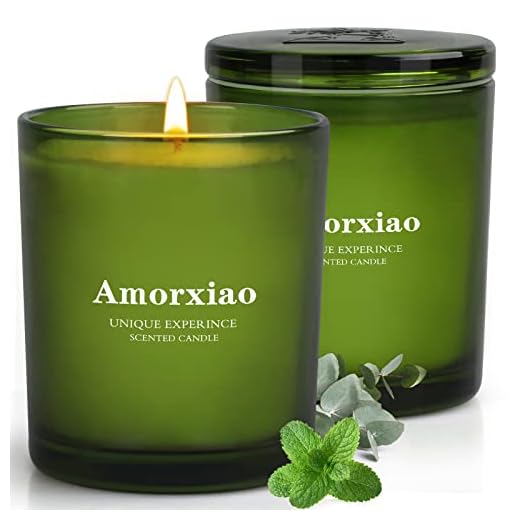 2 Pack Eucalyptus Candles, Candles for Home Scented, 11.3 OZ Longlast 65-70 Hours Natural Soy Candles Come in a Beautiful Gift Box, Candles Gifts for Women, Family, Friends （Eucalyptus & Mint）