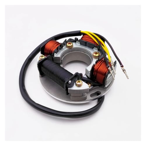Stator d'allumage SP 580 650 720 haute résistance mécanique 290886725