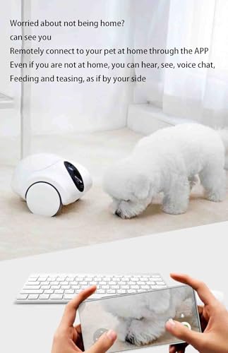 Cámara interactiva para mascotas con dispensador de golosinas, controlada por aplicación, 1080p, HD, inclinación, para perros, dispensación automática, control remoto, juego con gatos y perros a