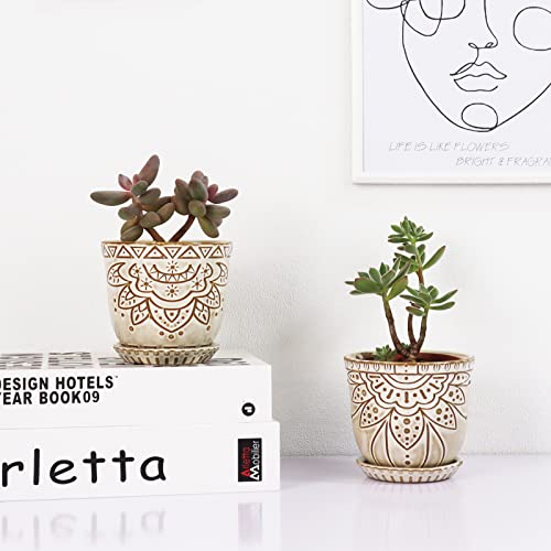 Pots de fleurs anti pourrissement racines succulentes Gepege - 8