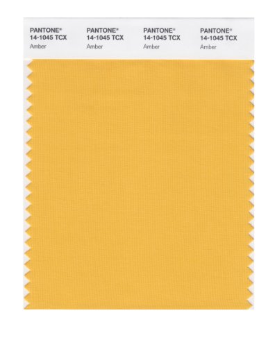 PANTONE SMART 14-1045X Color Swatch Card, Amber