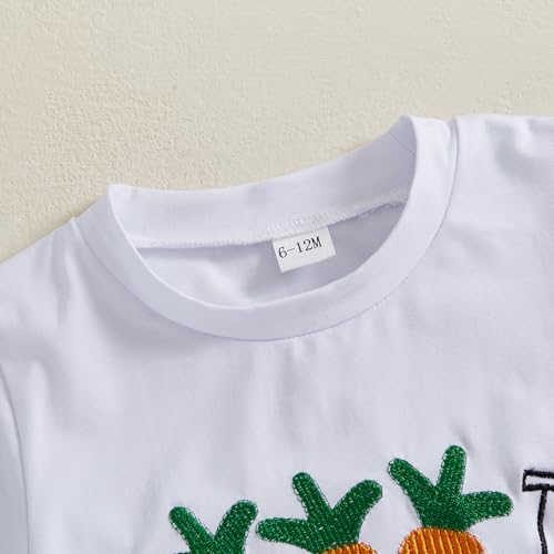 Image of Toddler Baby Boy Easter Rabbit Outfit Short Sleeve Bunny Carrot Smocked T-shirt Elastic Waist Shorts Summer Clothes
