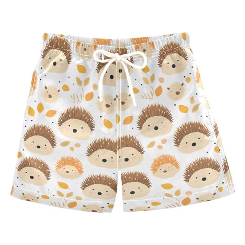 senya Cartoon Hedgehog Boys Swim Trunks Toddler Shorts Swimwear Boardshorts Multicoloured