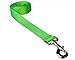 FlyFree 6 ft. Nylon Webbing Dog Leash44; Neon Green - Medium