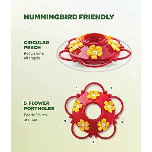 Hummingbird Feeder 10 oz Glass Hummingbird Feeders for Outdoors, with Built-in Ant Guard - Circular Perch with 5 Feeding Ports - Wide Mouth for Easy Filling/2 Part Base for Easy Cleaning by SEWANTA - Used condition - Image 4