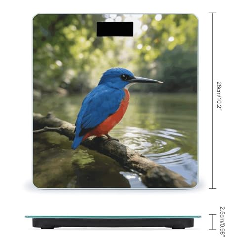 Báscula digital Kingfisher para uso doméstico, hasta 180 kg miniatura 2