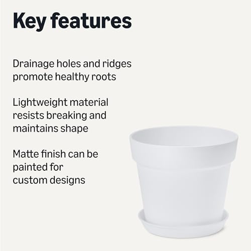 Amazon Basics Plant Pot with Saucer, Flower Pot with Drainage Holes, Lightweight PP, 8 Inch, 1-Pack - image 2