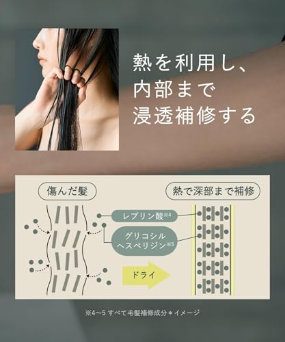 BOTANIST SANTAL サンタル リペア オイルイン シャンプー トリートメント セット の商品画像 14