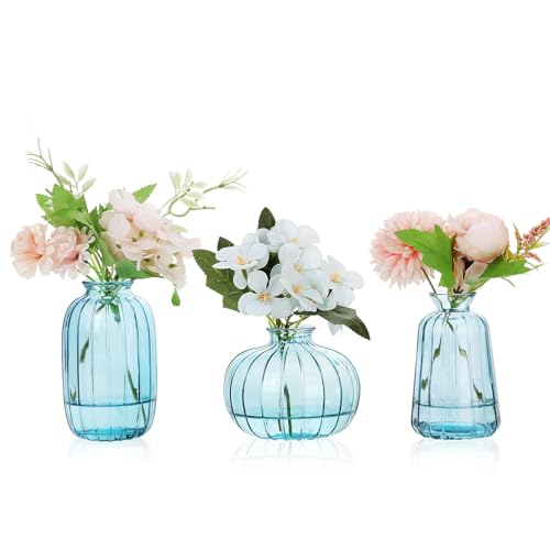 Ezvsevuo Jarrón pequeño de cristal, 3 jarrones pequeños de cristal para decoración de mesa de boda, jarrones decorativos, mini jarrones modernos, juego de jarrones de cristal transparente, vintage
