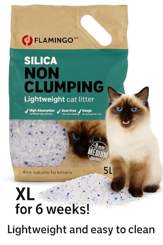 Flamingo Katzenstreu - Silikat Katzenstreu - Silikatstreu 5L für 6 Wochen - mittelkörnige Streu ohne Duftstoffe - staubfrei, saugstark und perfekt für Kätzchen