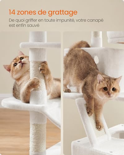 Arbre à chat Feandrea PCT165T01 de 168 cm avec panier et 13 griffoirs