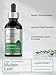 Horbäach Mullein Leaf Extract Drops | 2 fl oz | Alcohol Free Liquid Tincture | Vegetarian, Non-GMO & Gluten Free Herbal Supplement