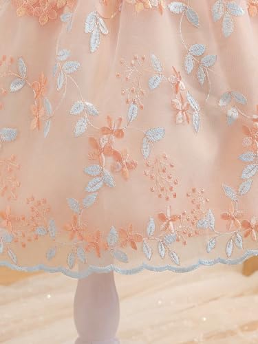 Image of Tagas Girls' Princess Dress | Girl Dress |Dresses birthdaydress for Babygirls | A-Line Knee-Length Dress