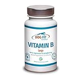 DOG FIT by PreThis® Vitamin B Komplex für Hunde | Large | Vegan | Nervensystem, Inkontinenz, Spondylose, Zittern | B-Vitamine mit Biotin & Folsäure