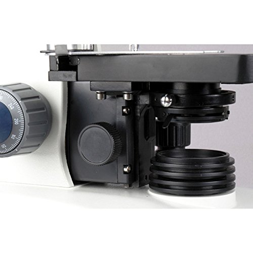 Amscope B340B Siedentopf Binocular Compound Microscope, 40X-2000X Magnification, Brightfield, Led Illumination, Abbe Condenser, Double-Layer Mechanical Stage #TOP5