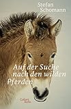 Auf der Suche nach den wilden Pferden - Stefan Schomann 